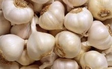 Garlic, Packaging Type : Customer's Requests