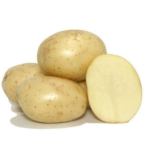 Organic Fresh Badshah Potato, for Cooking, Snacks, Packaging Size : 10-20kg