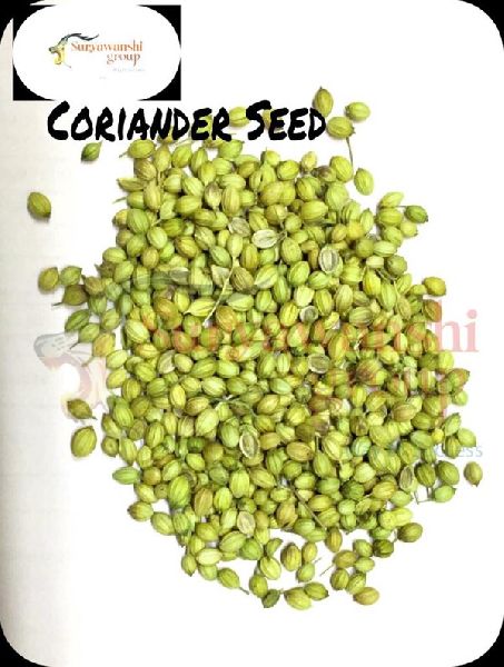 coriander seed