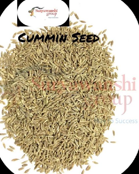 cumin seed