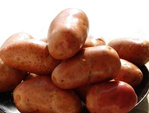 Organic Fresh Lady Rosetta Potato, for Cooking, Feature : Healthy