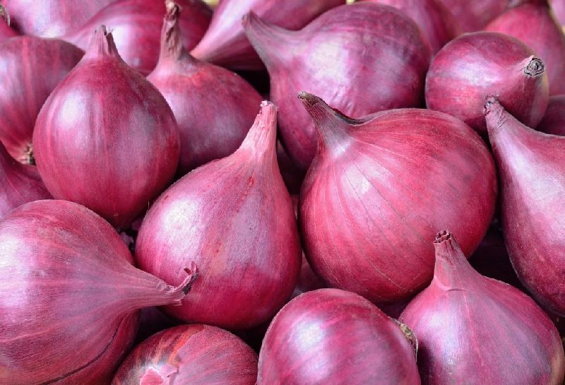 Organic Fresh Natural Onion, Packaging Type : Net Bag, Plastic Bag