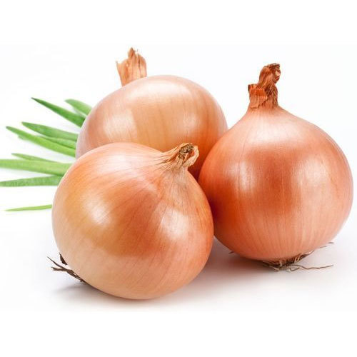 Organic Fresh Shallot Onion, for Human Consumption, Packaging Size : 10kg, 25kg, 5kg