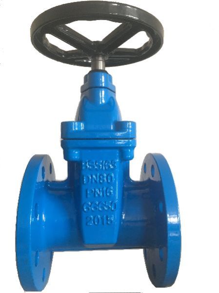 Ductile Iron Gate Valve