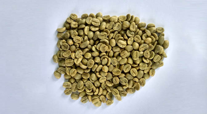 Plantation-AA Coffee, for Good health, Purity : 99 % Min.