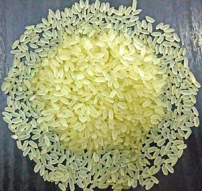 Hard Organic Swarna Rice, Packaging Type : Gunny Bags, Jute Bags, Plastic Bags
