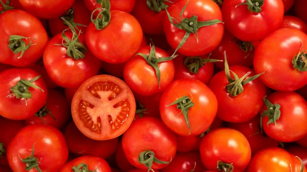 Organic Natural Tomato, Color : Red