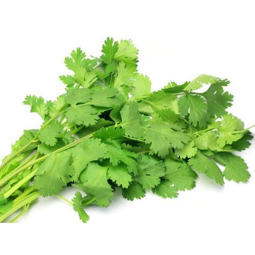 Organic Coriander Leaves