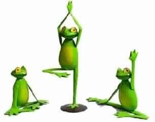 Yoga frog set