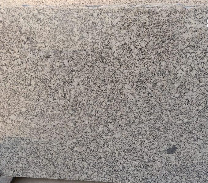 Savgadh Granite Slab