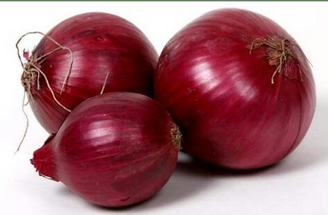 Organic Fresh Big Onion, for Human Consumption, Style : Natural