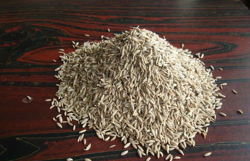 Common white cumin seeds, for Cooking