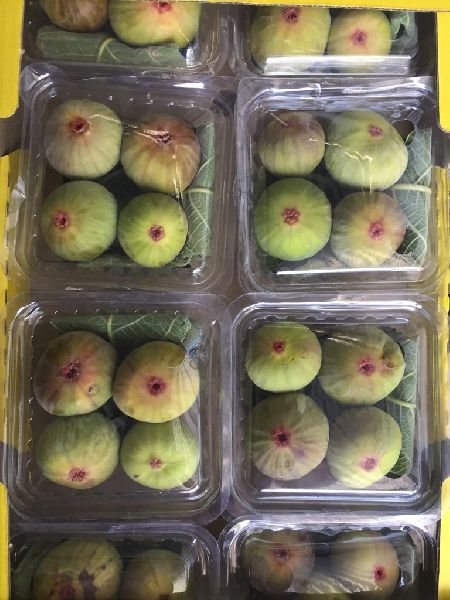 Organic. Fresh Figs, for Food Processing, Juice Making, Taste : Delicious Sweet