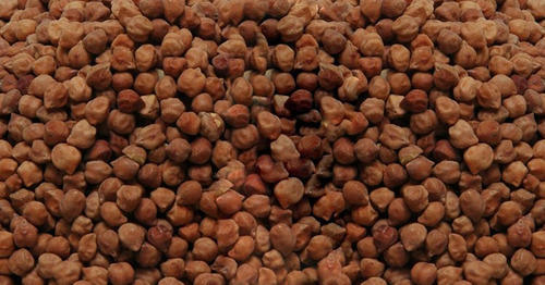 Organic Desi Chana, Packaging Size : 1 kg, 500 gm, 2 kg