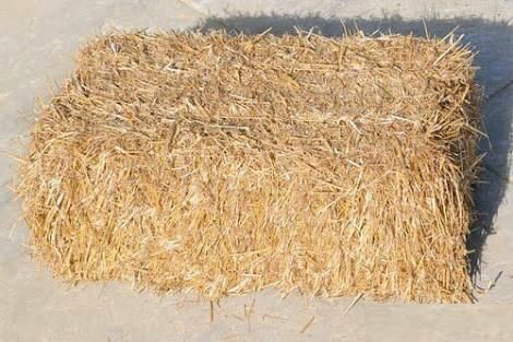 wheat straw