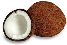 Organic Fresh Mature Coconut, Shelf Life : 1month