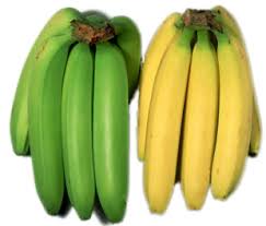 Common Fresh Organic Banana, Style : Natural