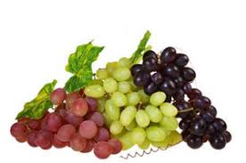 Fresh Organic Grapes, Color : Black, Light Green, Red