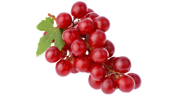 Organic Fresh Red Grapes, Shelf Life : 7-10days