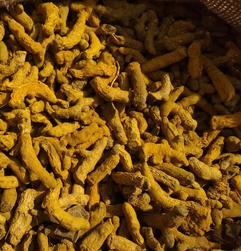 Assam Turmeric Finger