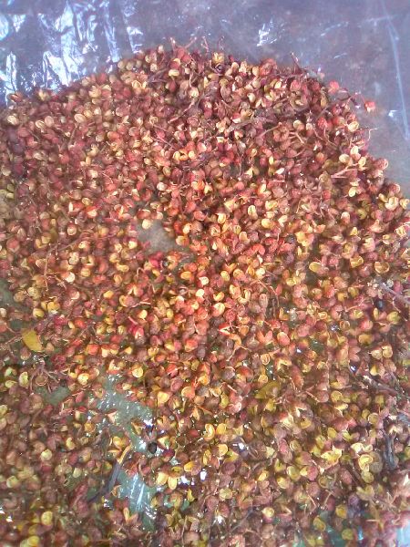 Sichuan Pepper