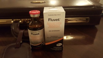 Fluvet injection