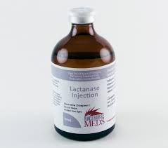 Lactanase 100ml