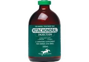 Mitachondral 100ml Injection