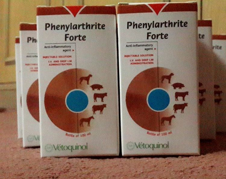 Phenylarthrite Forte 100ml injection