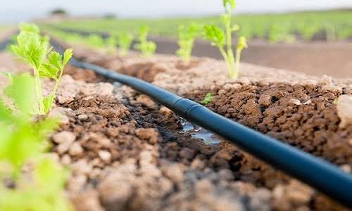 Sanjeewani Agrotech Drip in Pune - Service Provider of Drip Irrigation ...