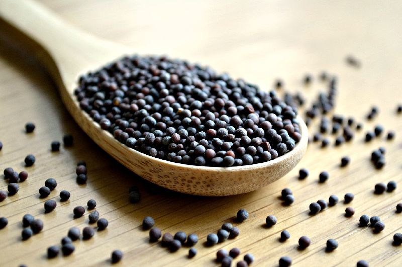 Organic black mustard seeds, Packaging Type : Jute Bag, Plastic Bag