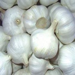 GMO Garlic, for Cooking, Human Consumption, Oil Extraction, Style : Dried, Wet