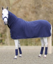 Equestrian Cotton Fabric Horse rug