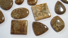 Fossil Coral Gemstone Loose Cabochons, Model Number : GC-107