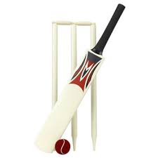 Cricket Set