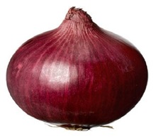 All Size Fresh Red Onion