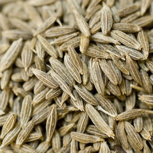 BE 06 Raw Gujarat cumin seed, Style : Dried
