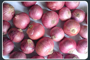 Round Organic fresh red onion