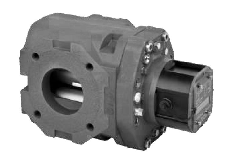 Rotary Positive Displacement Meter