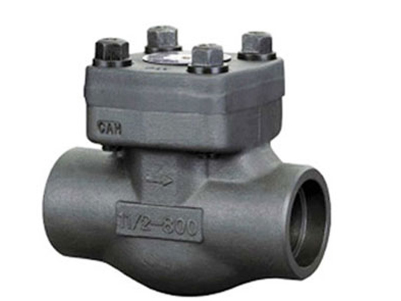 Cryogenic Forged Steel Check Valve