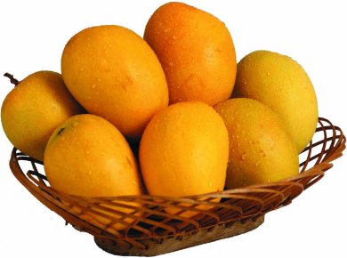 Organic Fresh Badami Mango, Color : Yellow