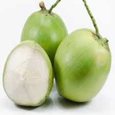 Organic Green Tender Coconut, for Highly Nutritious Fat Free
