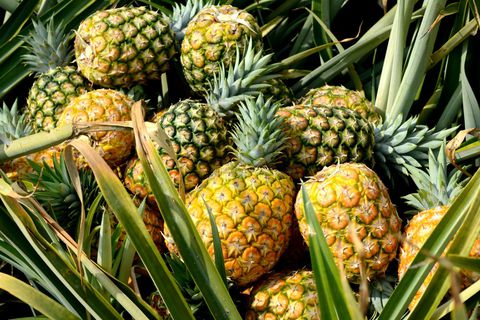 Natural Pineapple, Packaging Type : Corrugated Paper Box