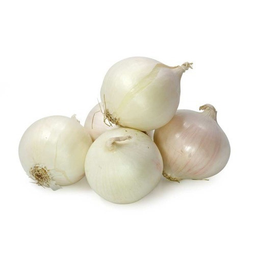 Small White Onion, Packaging Type : Net Bags, Plastic Bag
