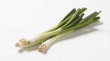 Elongated Common Green Onion, Certification : APEDA