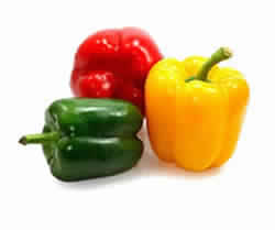 capsicum