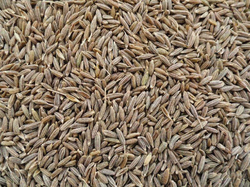 cumin seeds