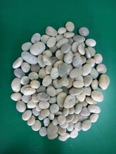 Natural River K White Pebbles Stones