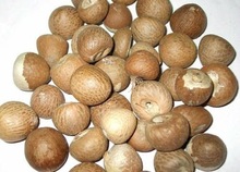 Areca nut, Style : Dried