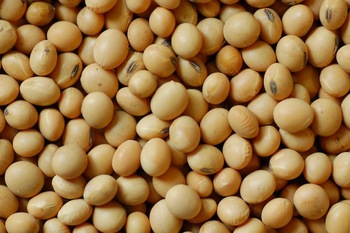 Soyabean, Style : Dried